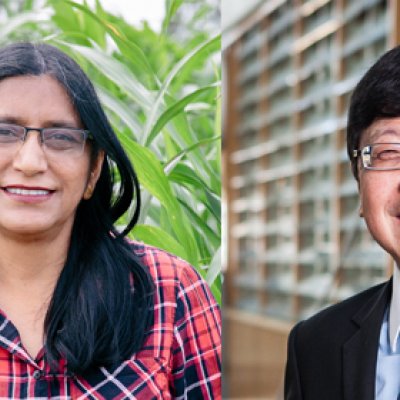 Professor Neena Mitter and Professor Chien Ming Wang